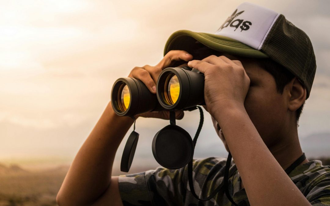 SEO im Wandel durch KI